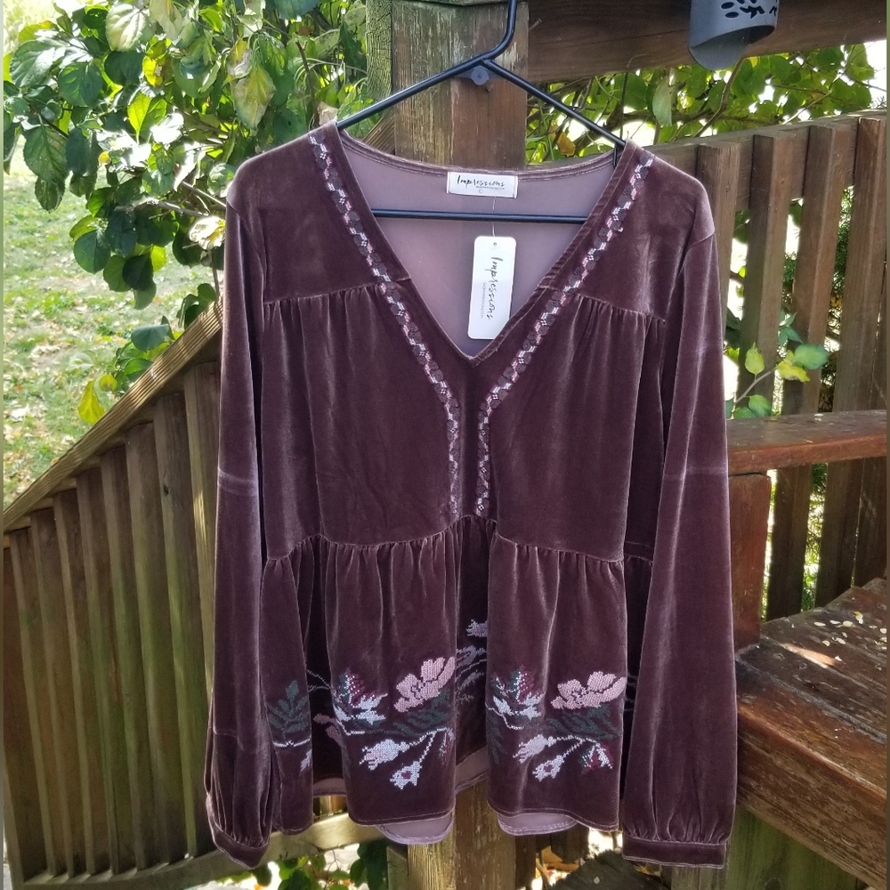 Boutique Velvet Blouse